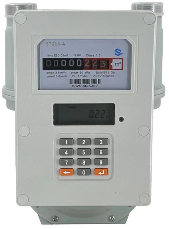 Plage de mesure 0-9999 m³ Compteur de gaz intelligent LoraWan utilisant le mode de communication LoRaWAN pour la surveillance de la consommation de gaz industriel