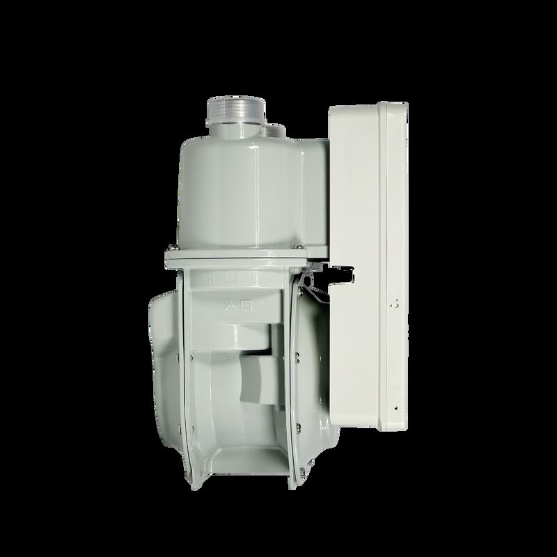 Compteur de gaz intelligent avec carte IC de recharge et connectivité Internet et niveau de protection IP65 pour la gestion des services publics