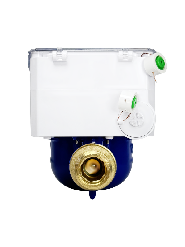Intégration du compteur d'eau intelligent LoraWan prête avec l'infrastructure de ville intelligente promouvant des solutions de gestion durable de l'eau urbaine